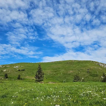 Le Belvedere Au Refuge Du Phoenix, Appartamento *